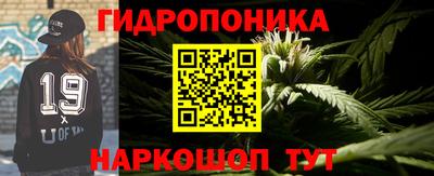 крисы Славянск-на-Кубани