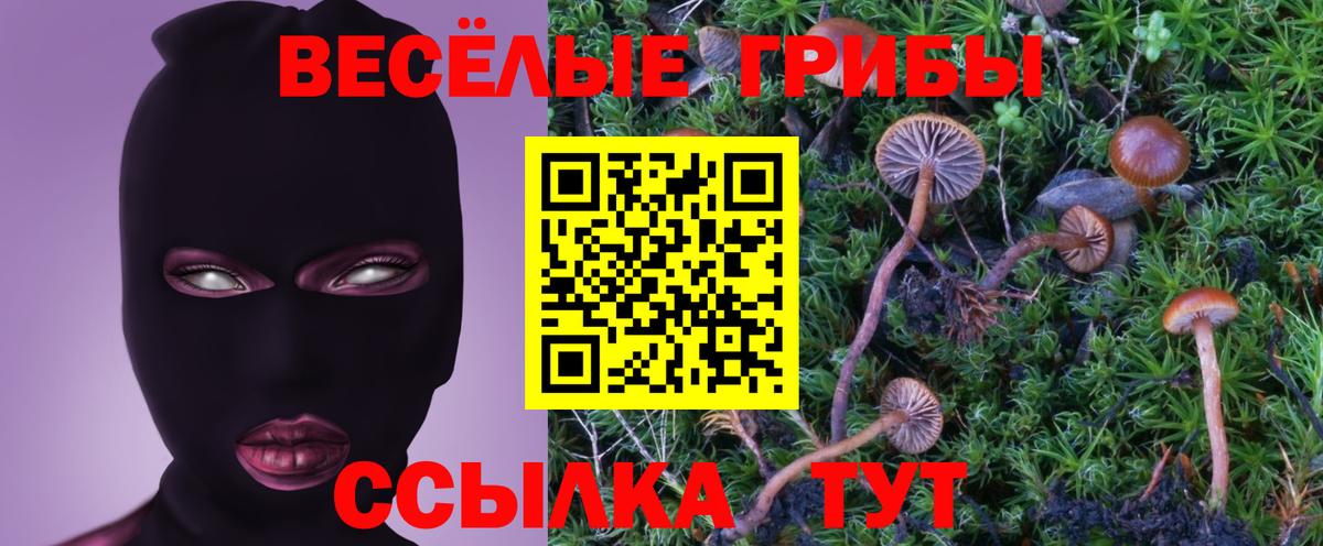 Галлюциногенные грибы мухоморы Октябрьский