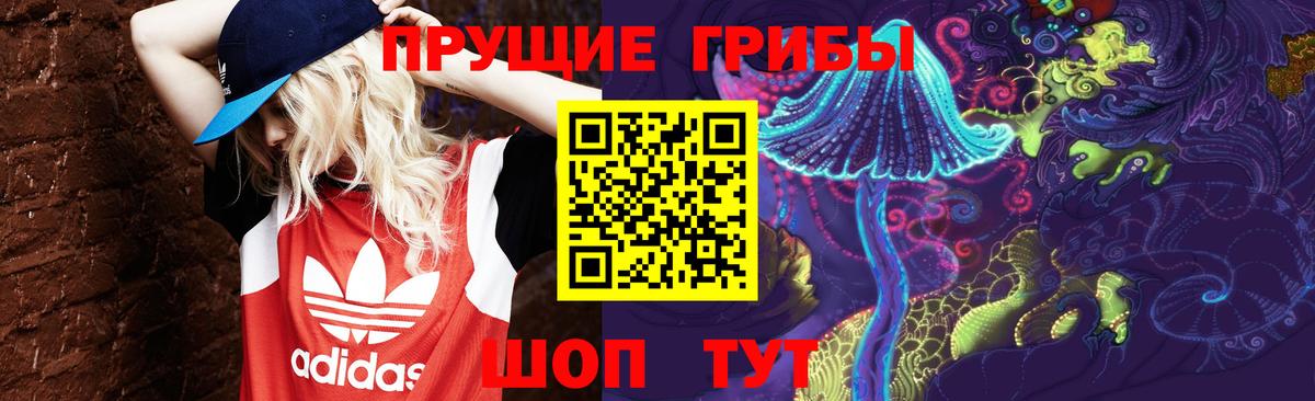 Октябрьский  Псилоцибиновые грибы Psilocybe  Вход с VPN 